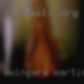 Swingers Martinsburg